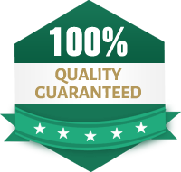 icon quality guarantee